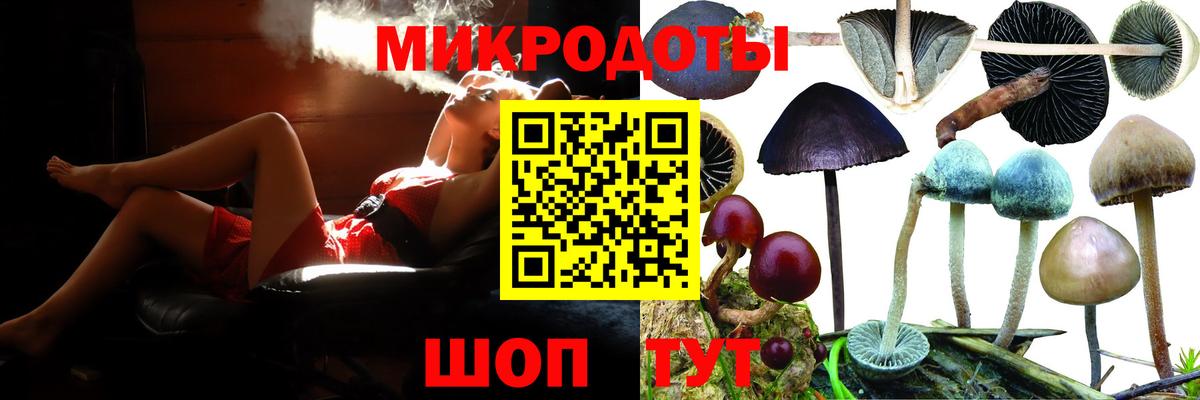 Шебекино  Псилоцибиновые грибы Magic Shrooms  Вход с VPN 